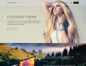 WordPress Themes for Online Store